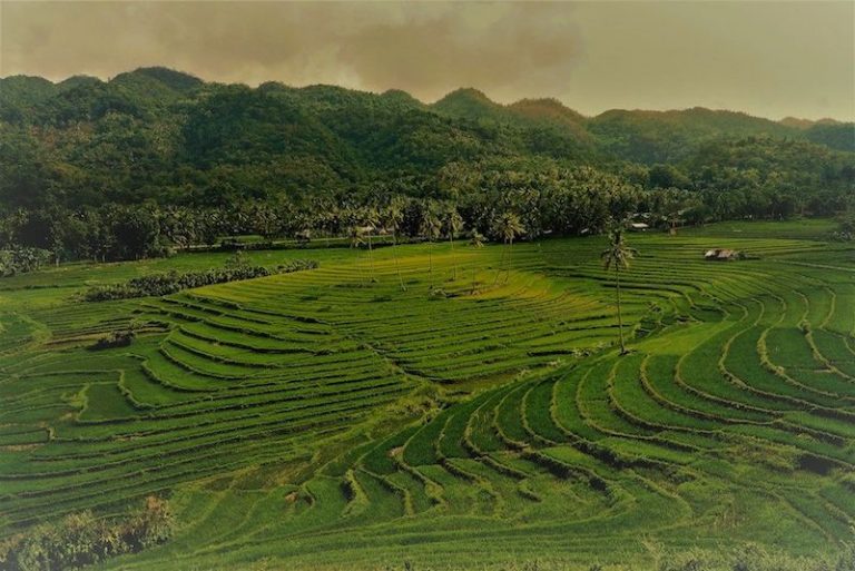 Visayas what to do and see, information to the must-visit islands