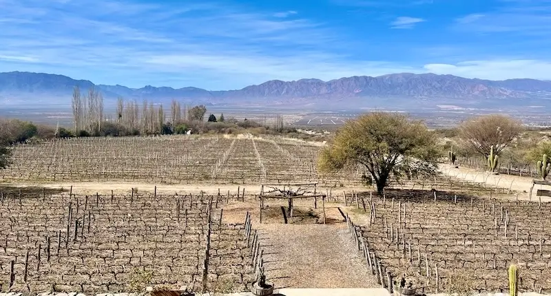 ruta-por-el-norte-de-Argentina-en-coche-Cafayate