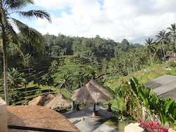 Indonesia-qué-ver-y-hacer-Bali